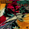 Sorrow Song (for W. E. B. Dubois) - David Murray&Dave Burrell