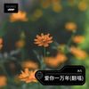 爱你一万年 (cover: 孟蕾) (Live) - 沐凡