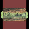 Ama fall fall fall Giligidzi (feat. Slavity Mjaji) (Radio Edit) - Usabusabani wena&Slavity Mjaji