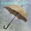 如果雨是天空的谜语 - 李俊熙
