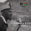 Nambala Wani (Number 1) - Peter Mawanga