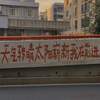 鸳鸯戏 (祁厅长进步曲) - 小Ya