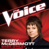 Baba O'Riley (The Voice Performance) - Terry McDermott