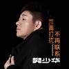 不再打扰不再联系 - 樊少华