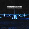 SNØSTORM 2025 (feat. DompaMan) (VIP Remix|Explicit) - Arvid Häggström&Snøstorm&Pxlish Beatz&DompaMan