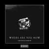 Where Are You Now (Techno Remix) - Luca Testa&DJ SERGIO SM&Maria DJ