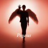 Pegasus - 布袋寅泰