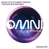 Bringing Back Dub - Marc Ofx&Albert Tempel
