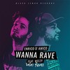 Wanna Rave (Valax Remix) - Enrico D'Amico&Weezy