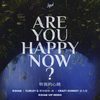 Are You Happy Now (R3HAB VIP Remix) - 希林娜依高&R3HAB&Crazy Donkey金大智