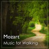 Contredanse in G Major, K. 610 