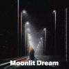 Moonlit Dream (1.1倍立体声版) - AEC