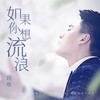 如果你想流浪 - 段炼