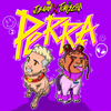 Perra - J Balvin&Tokischa