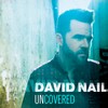 Can't Feel My Face - David Nail