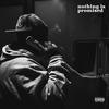 Nothing is Promised (feat. Daylyt, Lyric Michelle, The Ichiban Don, C.S. Armstrong & Earlee Riser) (Explicit) - aroomfullofmirrors&Punch&Daylyt&Lyric Michelle&The Ichiban Don&C.S. Armstrong&Earlee Riser