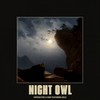 Night Owl (feat. Gold) (Explicit) - Viperactive&RISK&Gold