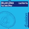 I Just Want You (Original Radio Edit) - Bellani&Spada&Tasita D'Mour