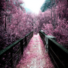 Magic Moonlight - Tonton
