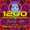 Shiva's India (Outsiders Remix) - 1200 Micrograms