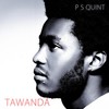 Say None(feat. D-Black) - P S Quint&D-Black