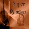Vive Tu Vida - Sombra Y Luz