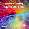 Chain Of Fools - Soil Zintoh SA&Sundersky