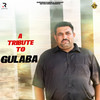 Gulabe Ghaal Kabaddi - Krishan