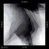 Jewel - CTM