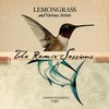 Lost the Eden (Lemongrass Épice Remix) - Nana Wang