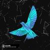 Blue Bird - Harddope&Amelia Khor&PACANI