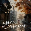 小镇的风吹不到大城市 - 杨友友