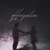 Hayalim (Explicit) - Dezin
