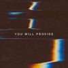 You Will Provide (feat. Jason White) - Crossings Venue Worship&Jason White