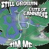 Focus(feat. 2piece & Scott Elkins) (Explicit) - Tim-Me&2piece&Scott Elkins