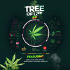 To Be Blamed - Prince Levy