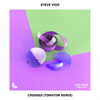Crooked (Tomatow Remix) - Steve Void&Tomatow