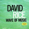 Time Flies Away - David Rice