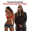 Dance Among the Ruins (Nik Zinner Mix) - Tommie Sunshine