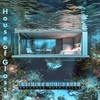 House of Glass - Breathes With Gills