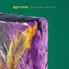 Agarrame (Roie Krief Remix) - NonCitizens