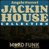 That DJ Made My Day (Angelo Ferreri 'Groove Insane' Mix) - DJ James Ingram