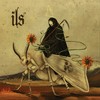 Fallen - Ils