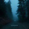 Homesick - Antent