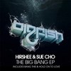 Hold On To Love (Original Mix) - Hirshee&Sue Cho