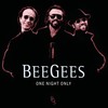 Our Love (Don't Throw It All Away) (Live - At The MGM Grand) - Bee Gees&Andy Gibb