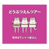 ヤバみ - ヤバイTシャツ屋さん