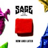 Now and Later - Sage the Gemini