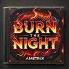 night lights (feat. the vibes & omnitrix) - ametrix&The Vibes&omnitrix