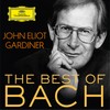 J.S. Bach: Matthäus-Passion, BWV 244 / Erster Teil: No. 8 
